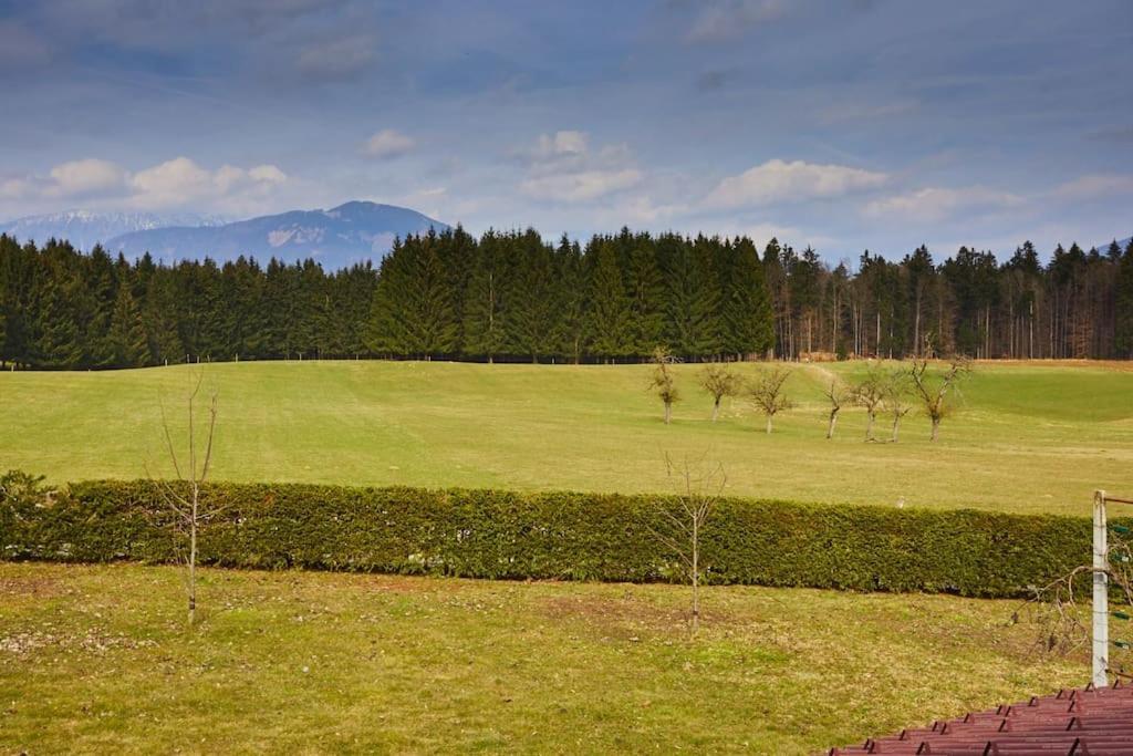Countryside House Near Bled
